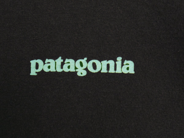 パタゴニア 両面 プリント 長袖 Tシャツ メンズ L / アウトドア ロンT ロングスリーブ P6 バックプリント カットソー シンプル トップス 黒