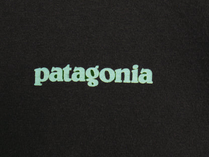 パタゴニア 両面 プリント 長袖 Tシャツ メンズ L / アウトドア ロンT ロングスリーブ P6 バックプリント カットソー シンプル トップス 黒