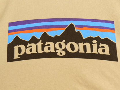 パタゴニア 両面 プリント 半袖 Tシャツ メンズ L 古着 20年製 アウトドア P6 バックプリント ボックスロゴ カットソー シンプル トップス