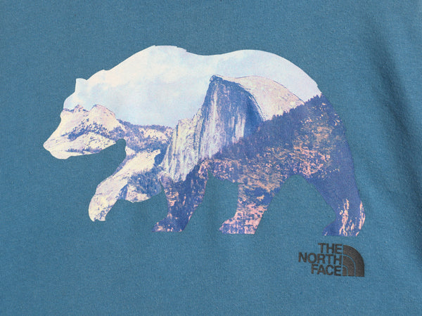 ノースフェイス プリント スウェット フード パーカー メンズ XL 裏起毛 プルオーバー トレーナー ベア グラフィック 大きいサイズ ブルー