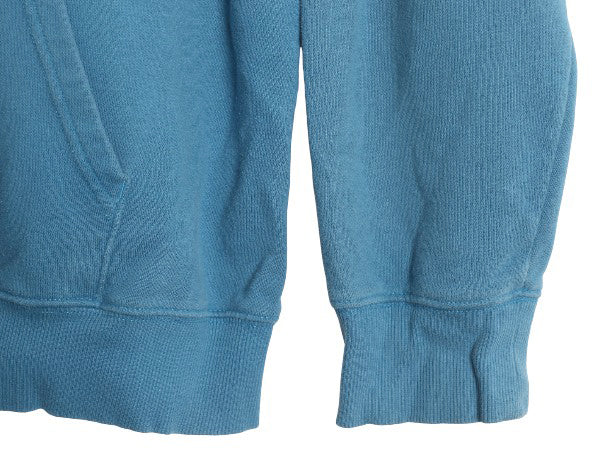 ノースフェイス プリント スウェット フード パーカー メンズ XL 裏起毛 プルオーバー トレーナー ベア グラフィック 大きいサイズ ブルー