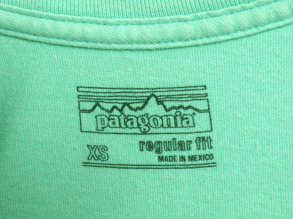 パタゴニア 両面 プリント 半袖 Tシャツ メンズ XS 17年製 アウトドア P6 ボックスロゴ オーガニック コットン カットソー クルーネック 緑