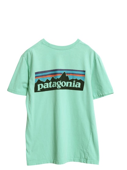 パタゴニア 両面 プリント 半袖 Tシャツ メンズ XS 17年製 アウトドア P6 ボックスロゴ オーガニック コットン カットソー クルーネック 緑