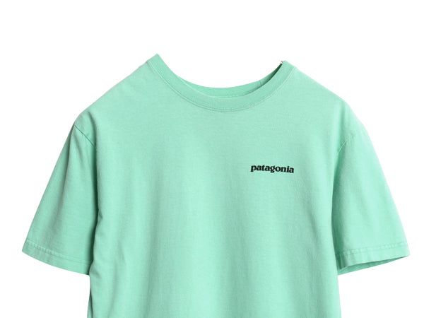 パタゴニア 両面 プリント 半袖 Tシャツ メンズ XS 17年製 アウトドア P6 ボックスロゴ オーガニック コットン カットソー クルーネック 緑