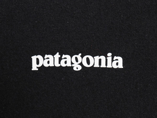パタゴニア 両面 プリント 長袖Tシャツ メンズ XL / 20年製 アウトドア ロンT ロングスリーブ バックプリント 大きいサイズ カットソー 黒