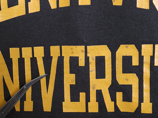 00s チャンピオン 2段 カレッジ プリント スウェット メンズ XL オールド トレーナー クルーネック 裏起毛 大きいサイズ トップス ネイビー