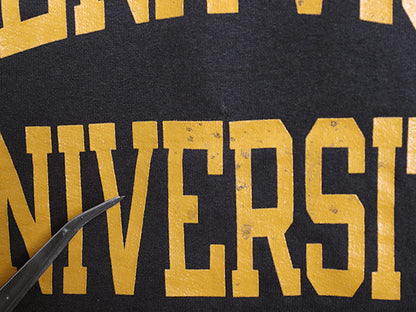 00s チャンピオン 2段 カレッジ プリント スウェット メンズ XL オールド トレーナー クルーネック 裏起毛 大きいサイズ トップス ネイビー