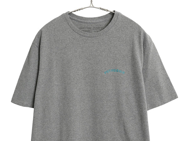 パタゴニア 両面 プリント 半袖 Tシャツ メンズ S / 20年製 アウトドア グラフィック アート イラスト フィッツロイ カットソー トップス