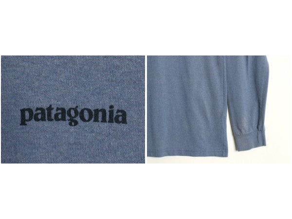 パタゴニア 両面 プリント 長袖 Tシャツ メンズ M / 19年製 ロンT ロングスリーブ フィッツロイ バイソン アート イラスト バックプリント