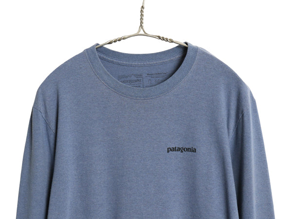 パタゴニア 両面 プリント 長袖 Tシャツ メンズ M / 19年製 ロンT ロングスリーブ フィッツロイ バイソン アート イラスト バックプリント