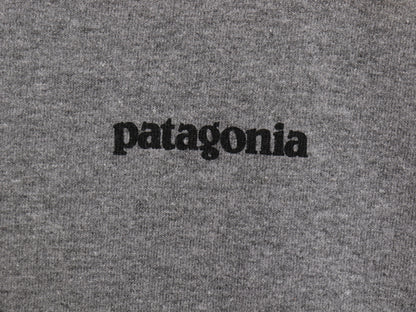 パタゴニア 両面 プリント 長袖 Tシャツ メンズ S 18年製 アウトドア ロンT ロングスリーブ P6 バックプリント ボックスロゴ カットソー 灰