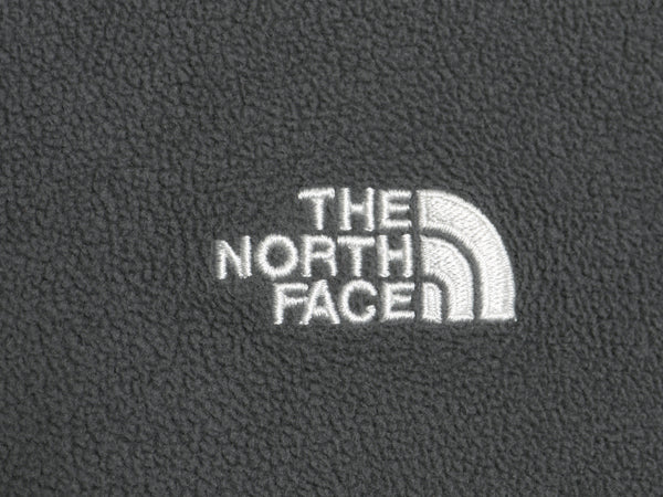 US企画 ノースフェイス TKA 100 フリース 長袖 Tシャツ メンズ L / アウトドア ロンT ハーフジップ プルオーバー トップス ハイネック 薄手
