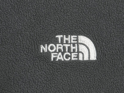 US企画 ノースフェイス TKA 100 フリース 長袖 Tシャツ メンズ L / アウトドア ロンT ハーフジップ プルオーバー トップス ハイネック 薄手