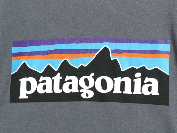 パタゴニア 両面 プリント 半袖 Tシャツ メンズ S / 21年製 アウトドア P6 ボックスロゴ バックプリント カットソー トップス シンプル 灰