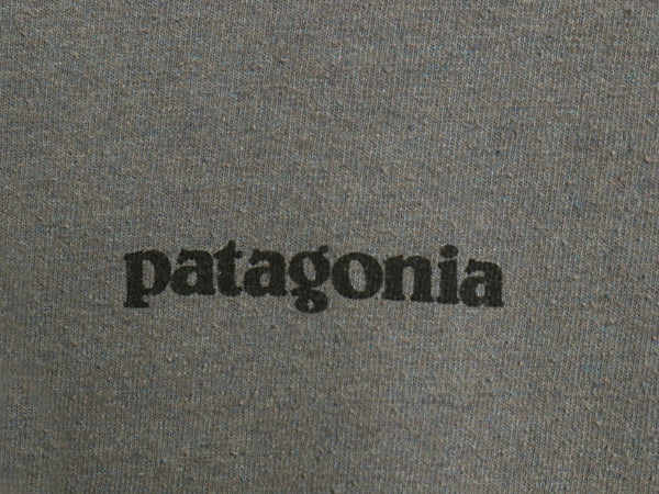 パタゴニア 両面 プリント 半袖 Tシャツ メンズ S 古着 アウトドア カットソー P6 バックプリント ボックスロゴ クルーネック シンプル 灰