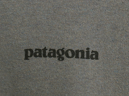 パタゴニア 両面 プリント 半袖 Tシャツ メンズ S 古着 アウトドア カットソー P6 バックプリント ボックスロゴ クルーネック シンプル 灰