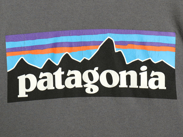 パタゴニア 両面 プリント 半袖 Tシャツ メンズ S 古着 アウトドア カットソー P6 バックプリント ボックスロゴ クルーネック シンプル 灰