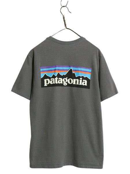 パタゴニア 両面 プリント 半袖 Tシャツ メンズ S 古着 アウトドア カットソー P6 バックプリント ボックスロゴ クルーネック シンプル 灰