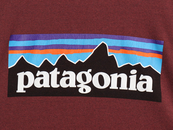 パタゴニア 両面 プリント 長袖 Tシャツ メンズ M / 19年製 アウトドア ロンT ロングスリーブ P6 バックプリント ボックスロゴ カットソー