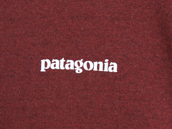 パタゴニア 両面 プリント 長袖 Tシャツ メンズ M / 19年製 アウトドア ロンT ロングスリーブ P6 バックプリント ボックスロゴ カットソー