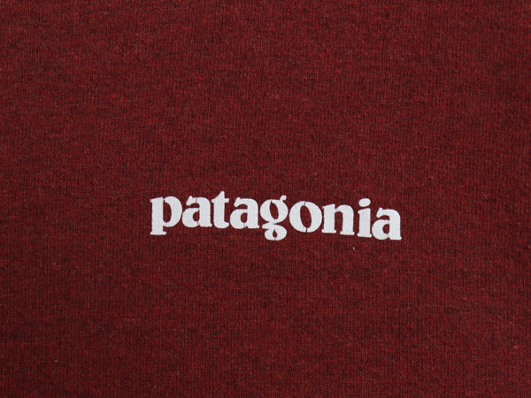 パタゴニア 両面 プリント 長袖 Tシャツ メンズ M 古着 アウトドア ロンT ロングスリーブ P6 バックプリント ボックスロゴ カットソー 薄手