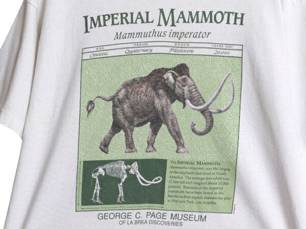 90s USA製 マンモス アート イラスト プリント 半袖 Tシャツ メンズ XL オールド シングルステッチ ヘビーウェイト 大きいサイズ アニマル