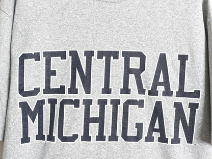 90s USA製 2段 カレッジ プリント 半袖 Tシャツ メンズ L / オールド シングルステッチ カットソー ヘビーウェイト シンプル 霜降り グレー