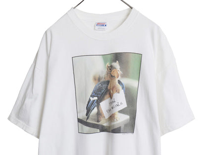 00s リス フォト プリント Tシャツ メンズ XL オールド ジョーク メッセージ キャラクター アニマル ヘビーウェイト コットン 大きいサイズ