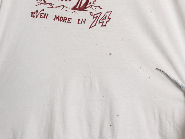70s カレッジ プリント リンガー Tシャツ メンズ XL 小さめ L ヴィンテージ スプルース 半袖Tシャツ シングルステッチ カットソー 雰囲気系