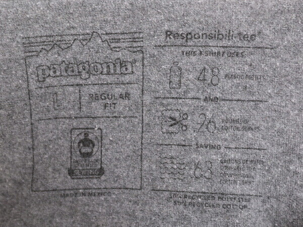 19年製 パタゴニア 両面 プリント 半袖 Tシャツ メンズ L / Patagonia アウトドア グラフィック イラスト バックプリント クルーネック 灰