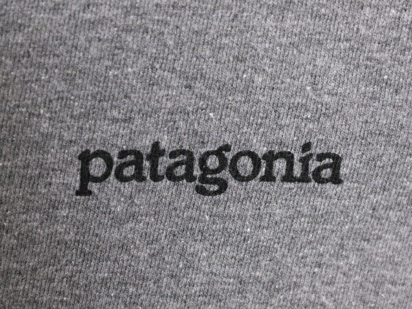 19年製 パタゴニア 両面 プリント 半袖 Tシャツ メンズ L / Patagonia アウトドア グラフィック イラスト バックプリント クルーネック 灰