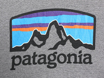 19年製 パタゴニア 両面 プリント 半袖 Tシャツ メンズ L / Patagonia アウトドア グラフィック イラスト バックプリント クルーネック 灰