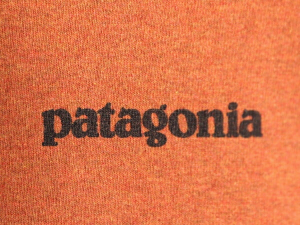18年製 パタゴニア 両面 プリント 半袖 Tシャツ メンズ М 古着 Patagonia アウトドア フィッツロイ イラスト ボックスロゴ バックプリント