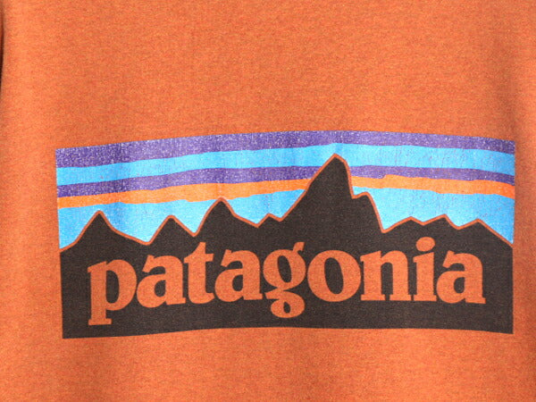 18年製 パタゴニア 両面 プリント 半袖 Tシャツ メンズ М 古着 Patagonia アウトドア フィッツロイ イラスト ボックスロゴ バックプリント