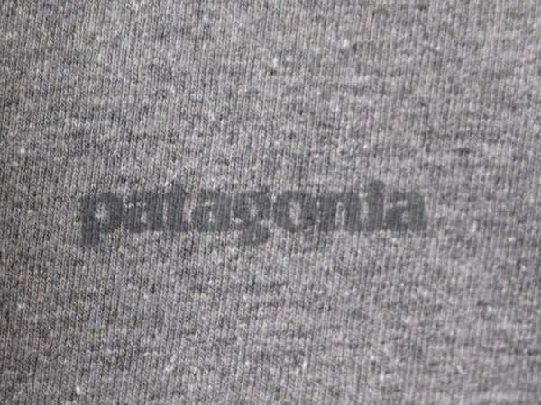 パタゴニア 両面 プリント 半袖 Tシャツ レディース L 古着 Patagonia フィッツロイ アウトドア グラフィック イラスト バックプリント 灰