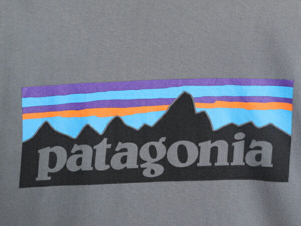 17年製 パタゴニア 両面 プリント 半袖 Tシャツ メンズ L / 古着 Patagonia アウトドア フィッツロイ P6 ボックスロゴ バックプリント 灰