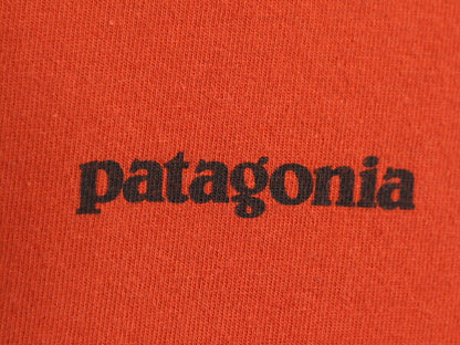 17年製 パタゴニア 両面 プリント 半袖 Tシャツ メンズ S 古着 Patagonia アウトドア P6 バックプリント オーガニック コットン テラコッタ