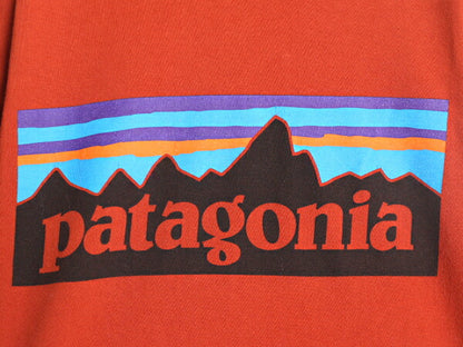17年製 パタゴニア 両面 プリント 半袖 Tシャツ メンズ S 古着 Patagonia アウトドア P6 バックプリント オーガニック コットン テラコッタ