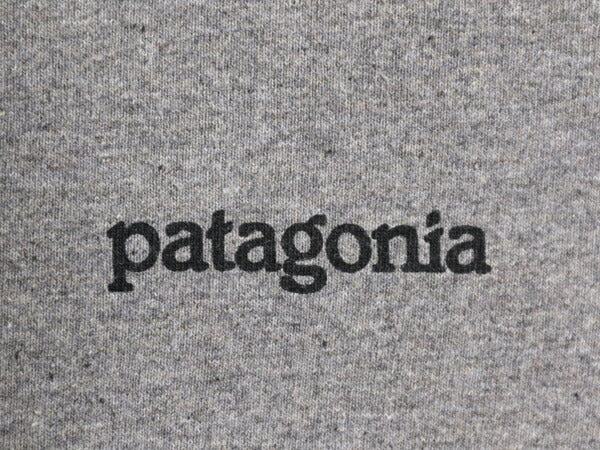 21年製 パタゴニア 両面 プリント 半袖 Tシャツ メンズ L 古着 Patagonia アウトドア  グラフィック イラスト バックプリント クルーネック
