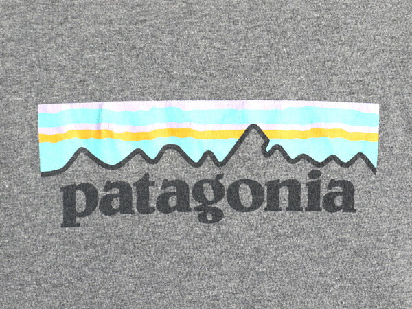 パタゴニア 両面 プリント 長袖 Tシャツ レディース М / 古着 19年製 アウトドア ロンT ロングスリーブ ロゴT P6 バックプリント グレー