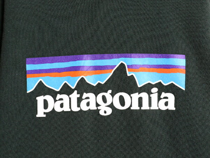 パタゴニア プリント スウェット フード パーカー メンズ М レディース L / 22年製 Patagonia トレーナー プルオーバー アウトドア 裏起毛