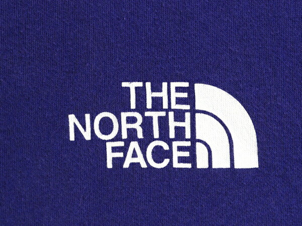 ノースフェイス 両面 プリント スウェット フード パーカー メンズ М / The North Face アウトドア トレーナー プルオーバー 薄手 ブルー