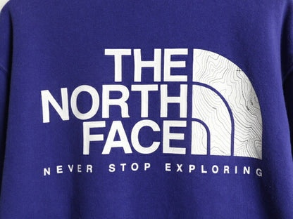 ノースフェイス 両面 プリント スウェット フード パーカー メンズ М / The North Face アウトドア トレーナー プルオーバー 薄手 ブルー