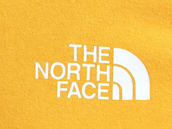 US企画 ノースフェイス 両面 プリント スウェット フード パーカー メンズ S / The North Face プルオーバー トレーナー アウトドア 裏起毛