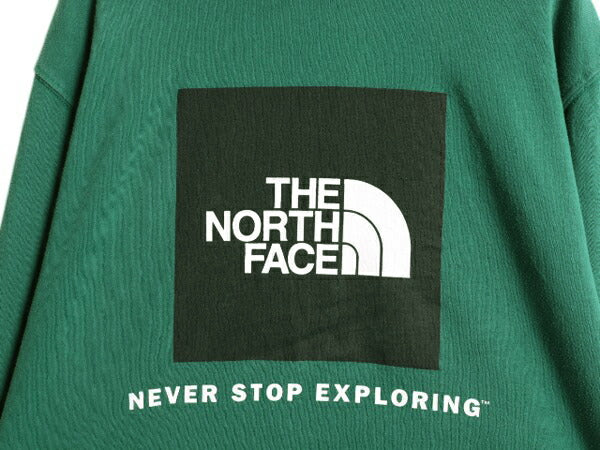 US企画 ノースフェイス 両面 プリント スウェット フード パーカー メンズ XL The North Face プルオーバー トレーナー アウトドア 裏起毛