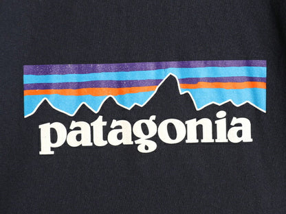 パタゴニア プリント スウェット フード パーカー メンズ М 19年製 Patagonia トレーナー プルオーバー ストレッチ ヘビーウェイト 裏起毛