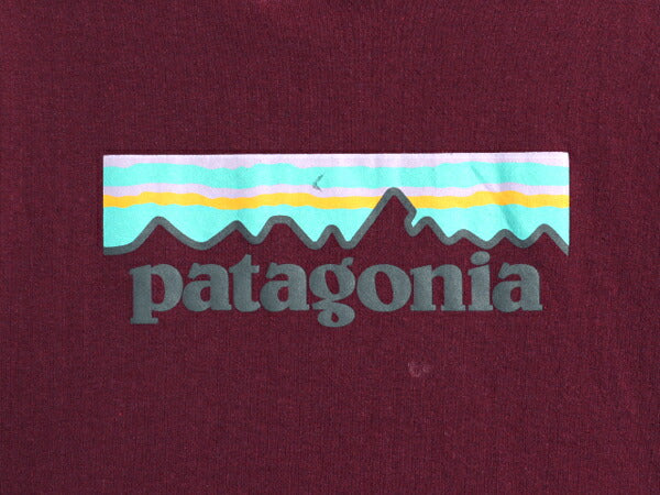パタゴニア プリント スウェット フード パーカー レディース М 19年製 Patagonia トレーナー プルオーバー ストレッチ 裏起毛 アウトドア