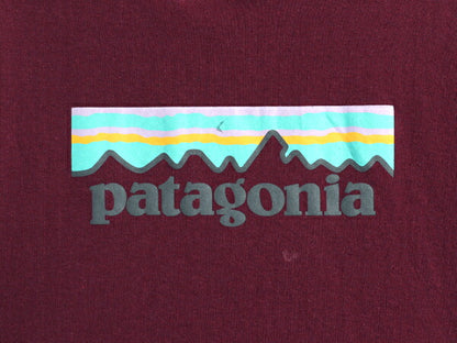 パタゴニア プリント スウェット フード パーカー レディース М 19年製 Patagonia トレーナー プルオーバー ストレッチ 裏起毛 アウトドア
