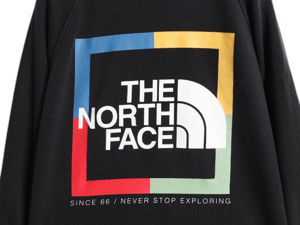 ノースフェイス 両面 プリント スウェット フード パーカー レディース М The North Face プルオーバー トレーナー グラフィック ブラック