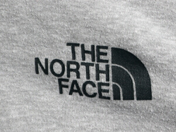US企画 ノースフェイス 両面 プリント スウェット フード パーカー メンズ М The North Face プルオーバー トレーナー アウトドア 裏起毛